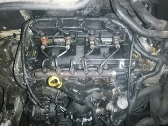 Ford Custom Çıkma Motor